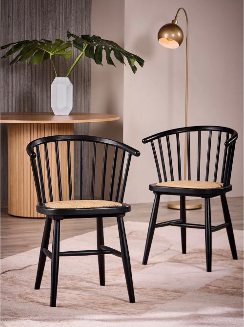 Par Sillas De Corral Negro Alaniz Home